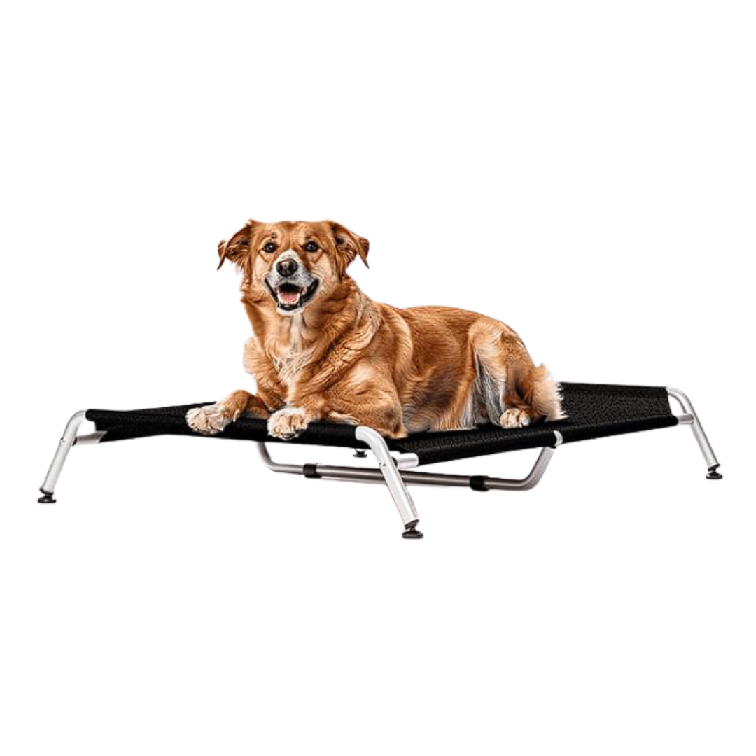 Cama Suspensa Elevada Pet Dogets Nice Bed G (90x60cm)
